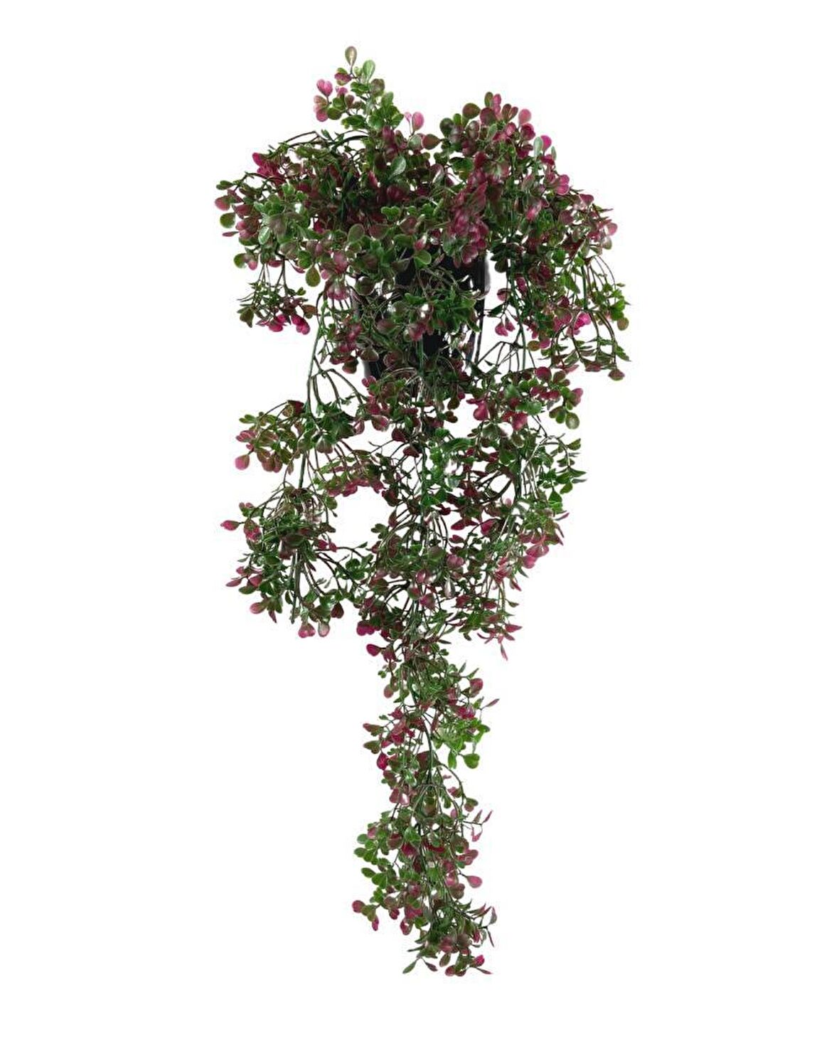 Yapay Çiçek Saksıda Sarkan Bordo Fare Kulağı Şimşir Yapay Sarmaşık Pastel 50cm