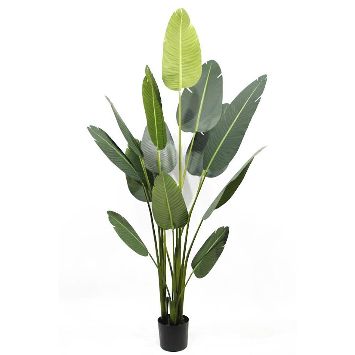 Yapay Ağaç Muz Ağacı Yapay Starliçe 160cm 13 Yaprak