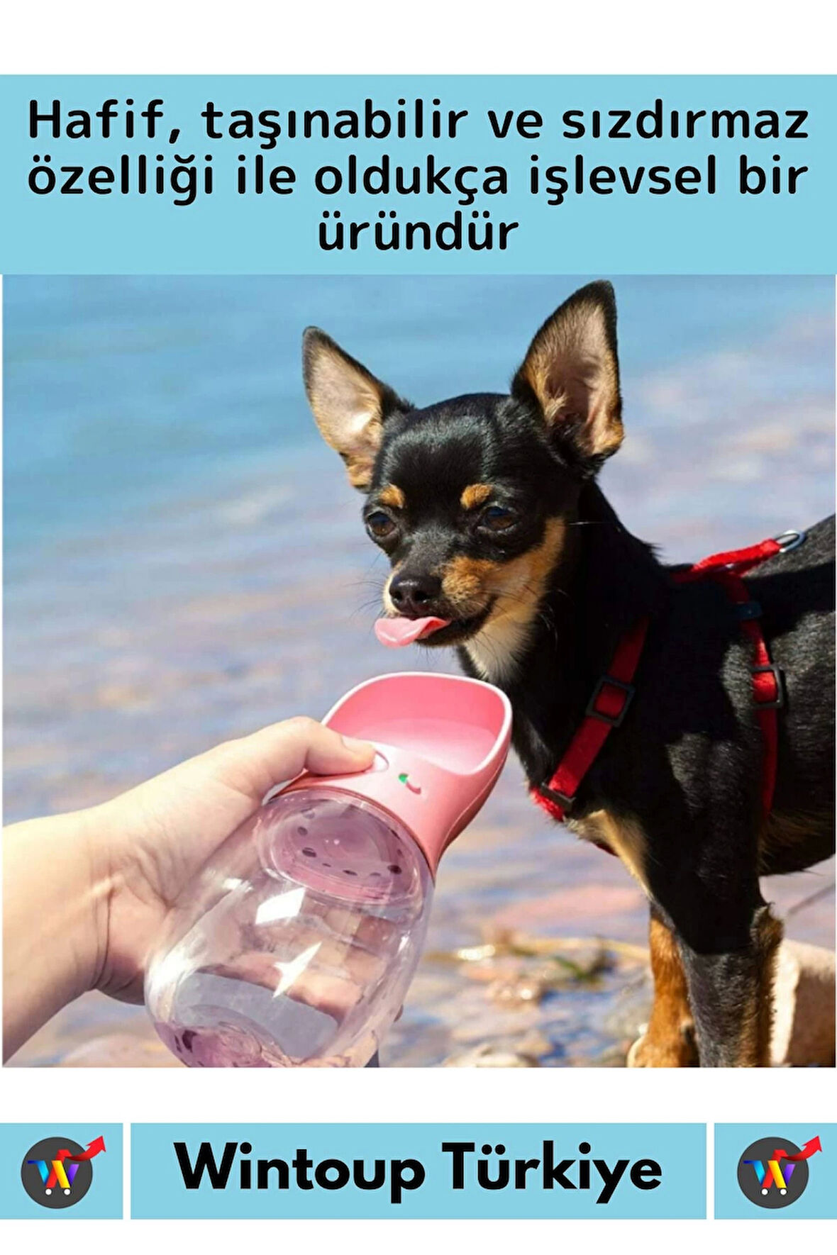 Premium Yüksek Kaliteli Ergonomik Portable Yürüyüş Seyahat Taşınabilir Köpek Su Mama Matarası 350 Ml