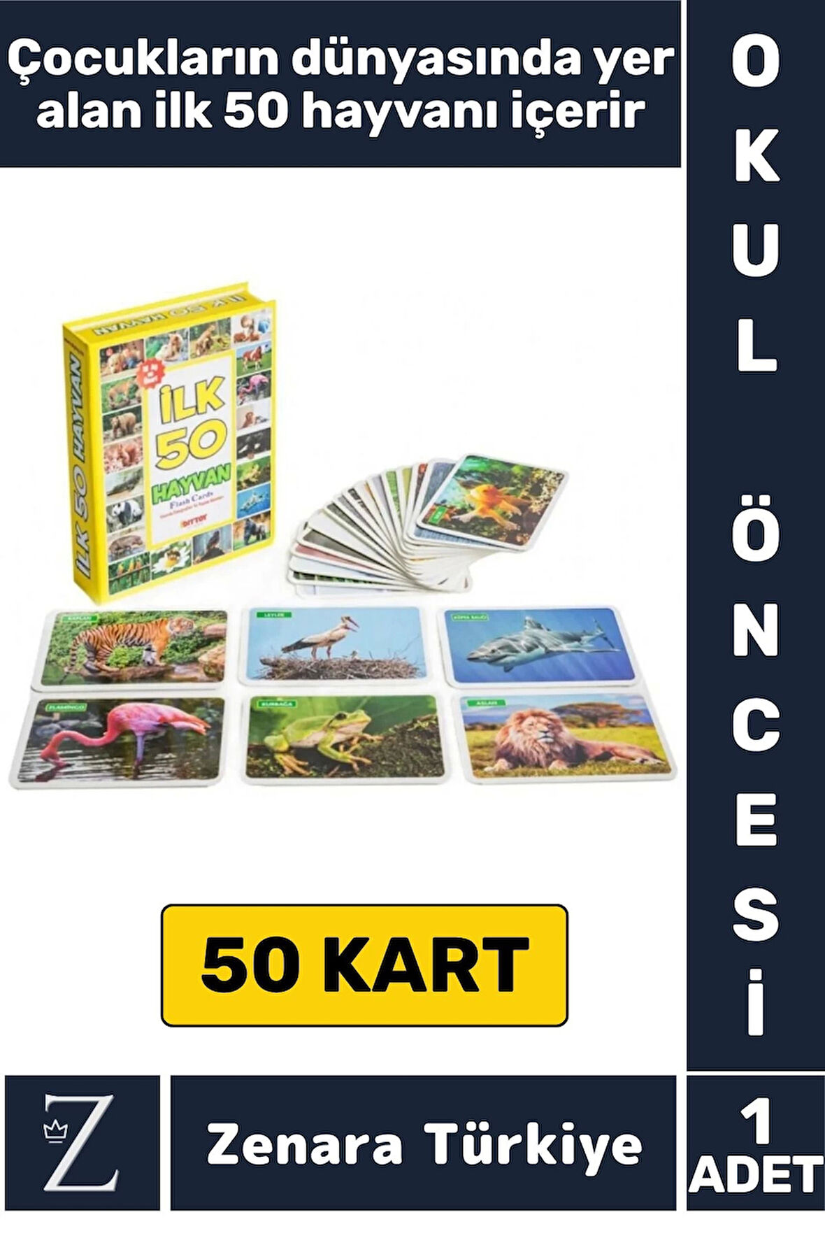 Okul Öncesi Koordinasyon Görsel Algı Geliştirici Hayvan İsimleri Öğretici Eğlenceli İLK 50 HAYVAN