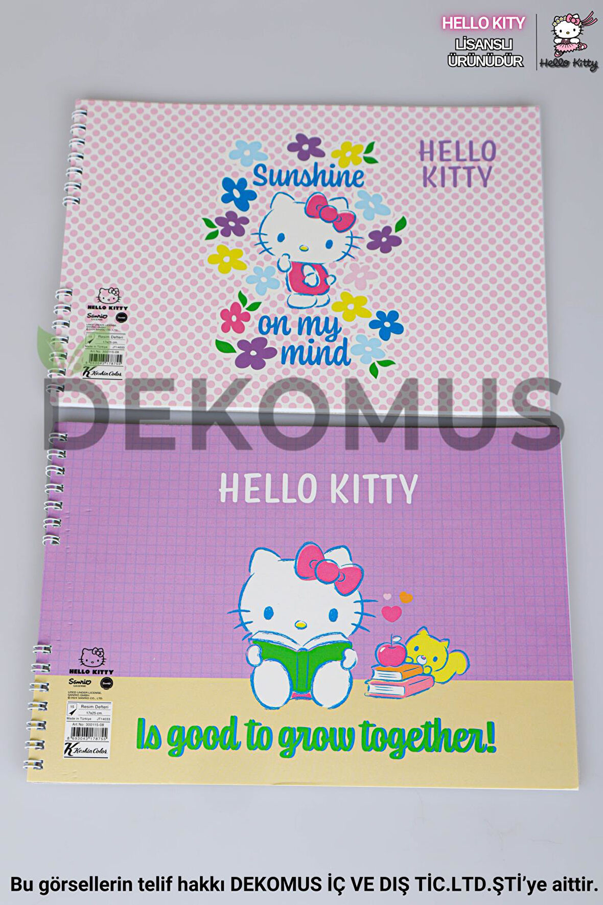 DEKOMUS İLE LİSANSLI HELLO KITTY "TEKLİ" RESİM DEFTERİ 17*24 CM 15 YAPRAK