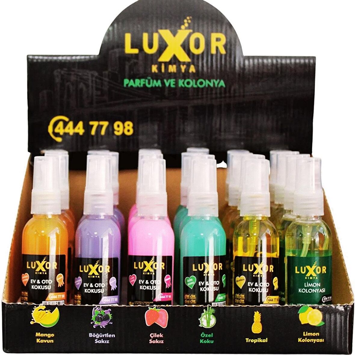 Luxor Kimya 24 Adet 50 ml Ev & Oto Koku Seti Özel Kutulu