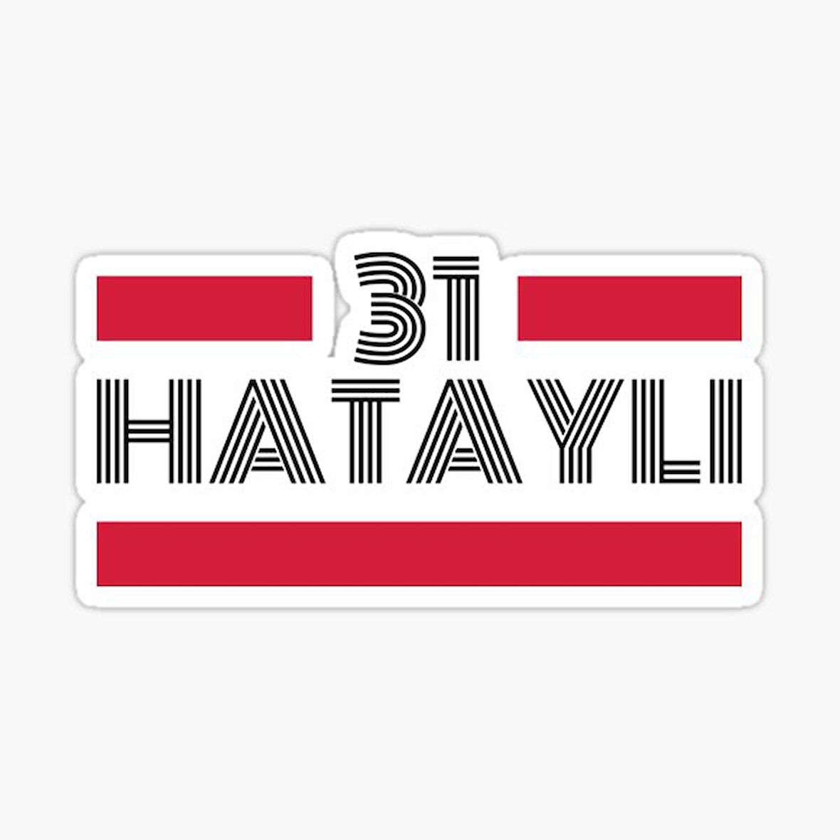 31 Hataylı Plaka Araba Sticker Yapıştırması