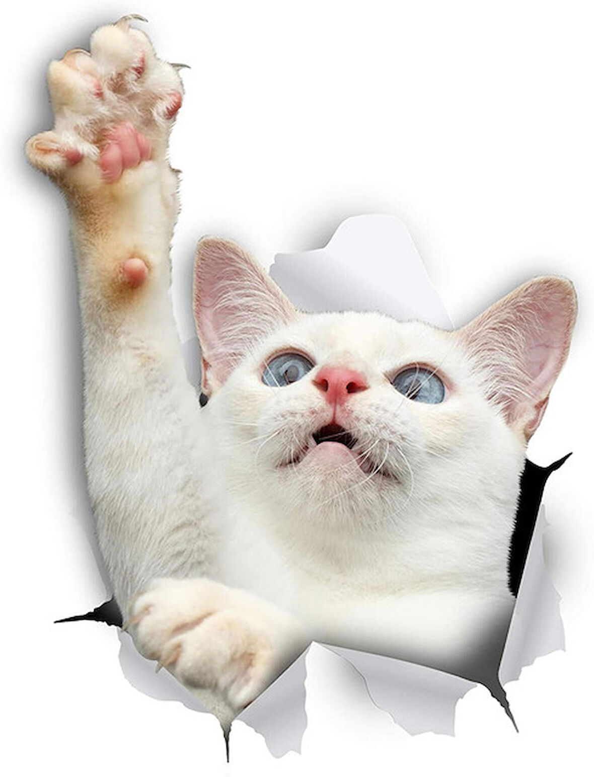 Sevimli Beyaz Yavru Kedi Araba Leptop Sticker Yapıştırma 18CM