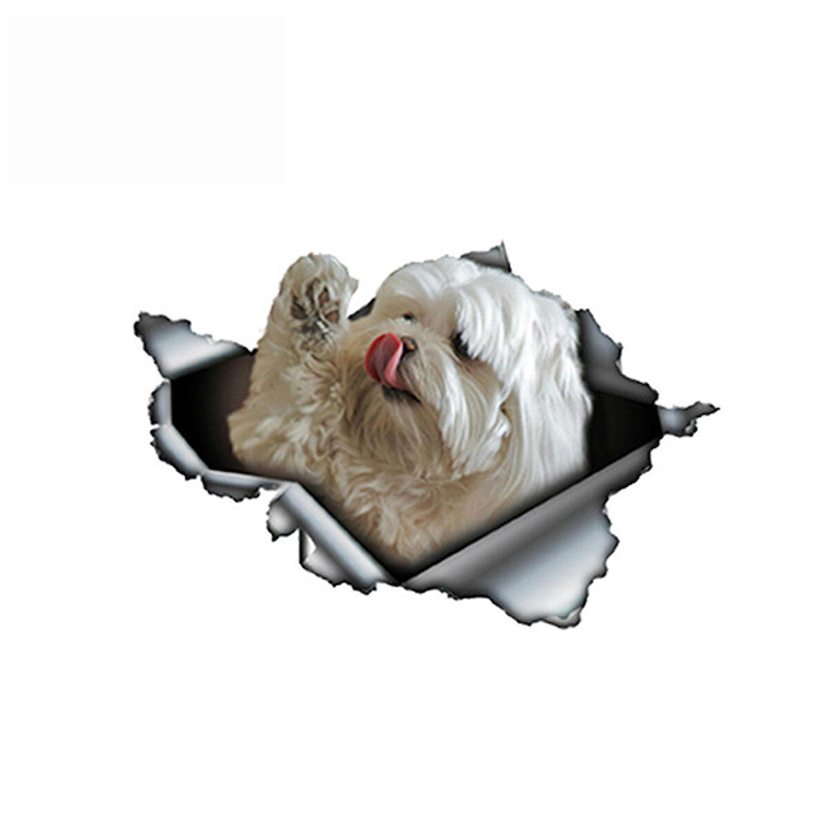 Sevimli Maltese Cinsi Köpek Araba Sticker Yapıştırması model7