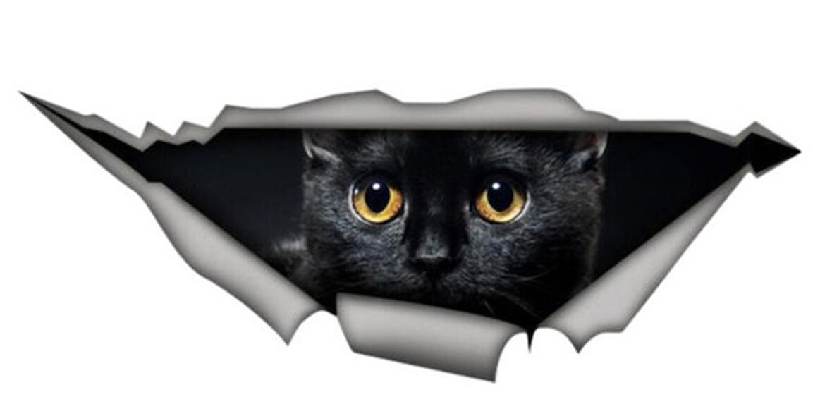 Siyah Sevimli Kedi Yavrusu Araba Sticker 18 CM