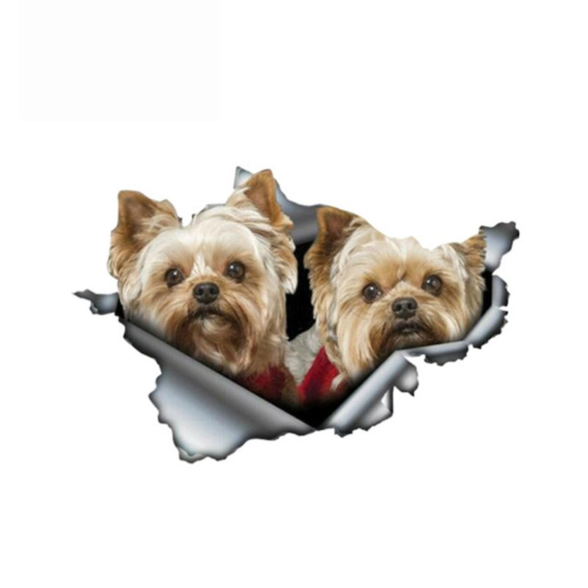 Yorkies çift etiket Araba Sticker YApıştırması 19 Cm