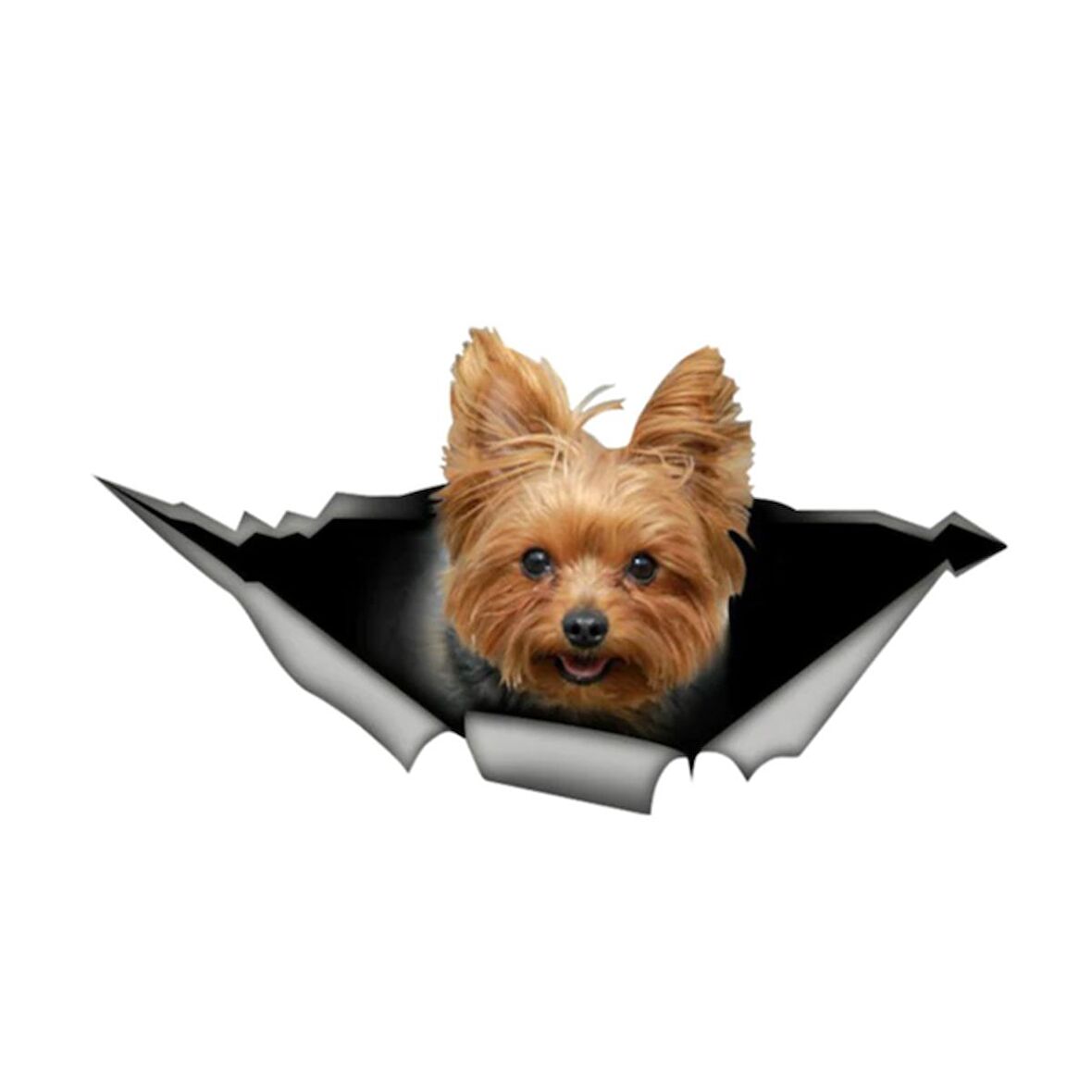 Yorkshire Terrier Cinsi Köpek araba Sticker çıkartması 17CM