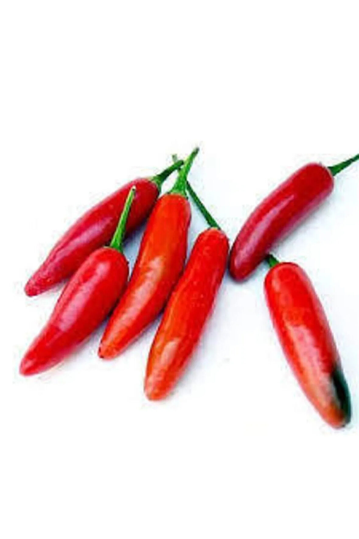 10 Adet Tohum Meksika Biberi Tohumu Acı Meksika Biberi Tohumu Jalapeno Kırmızı Süpriz Hediye Tohumlu