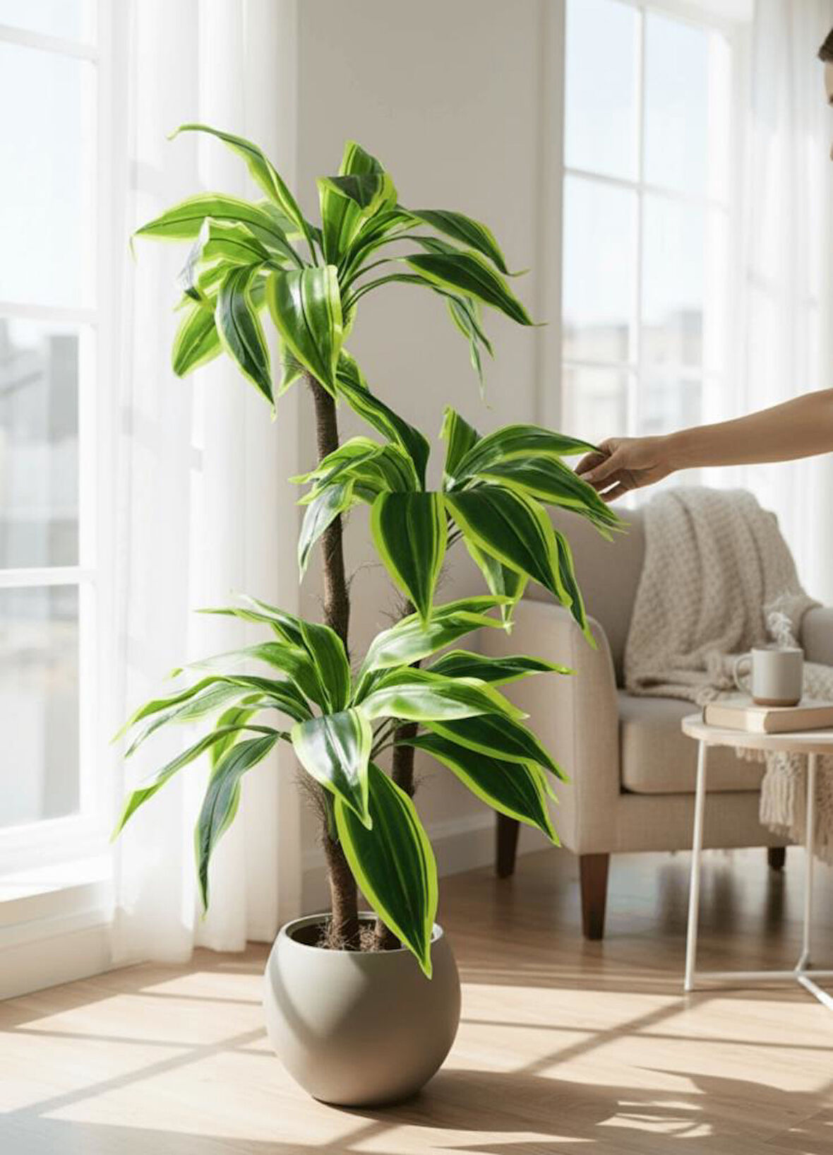 Yapay Ağaç Yukka Sarı Şeritli Draceena Ağacı Mokka Kahve Küre Saksıda 120*50cm 54 Yapraklı