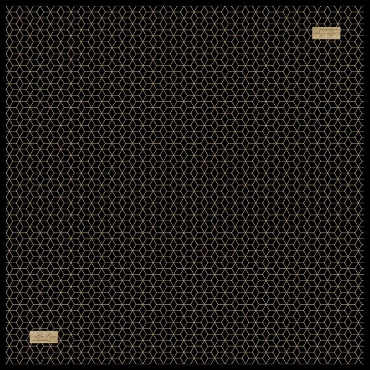 GÜZ | YAZ SERİNLİĞİ EŞARP 90 x 90 - 2544-01