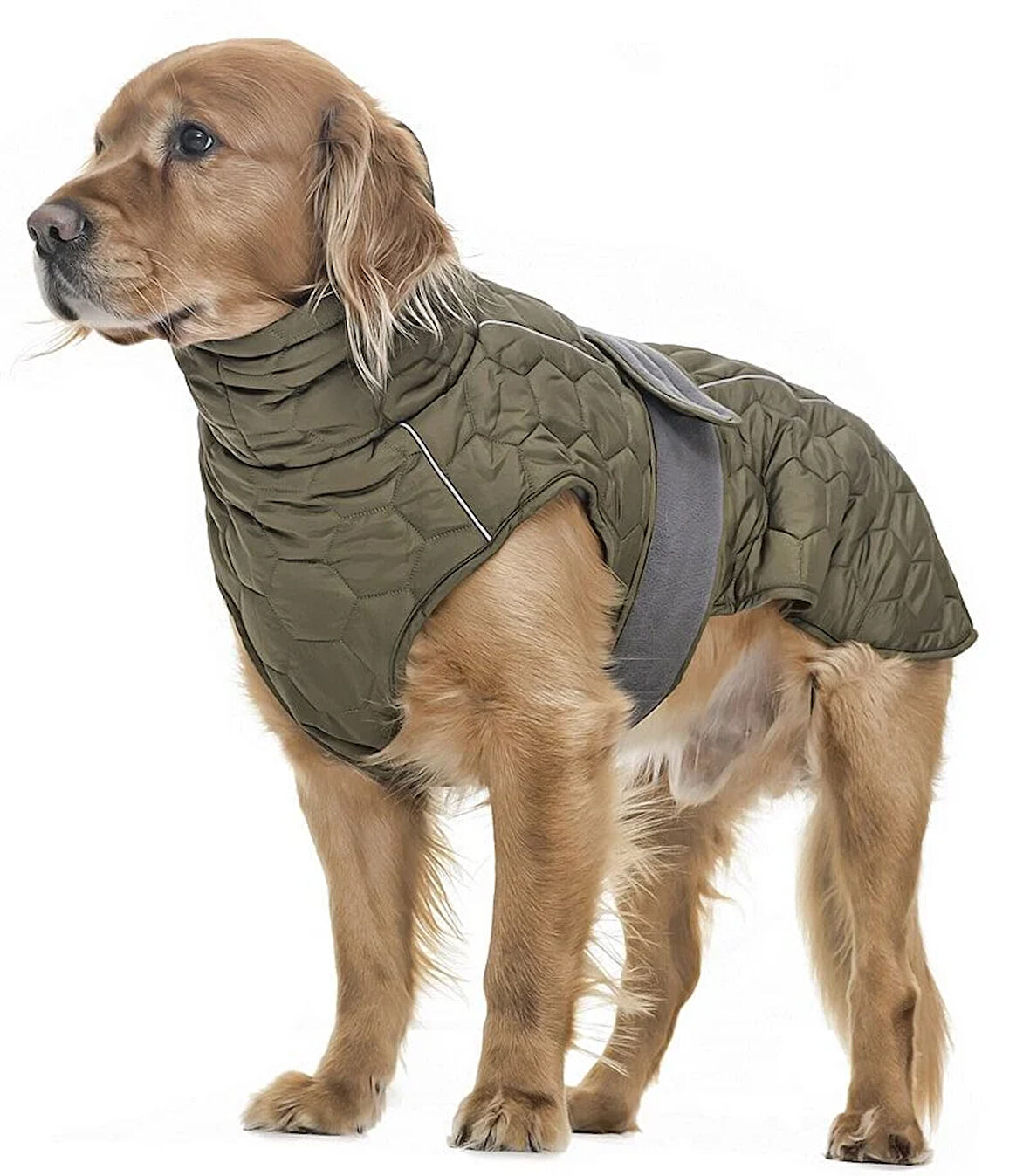 Orta ve Büyük Irk Köpek Mont - Yukata