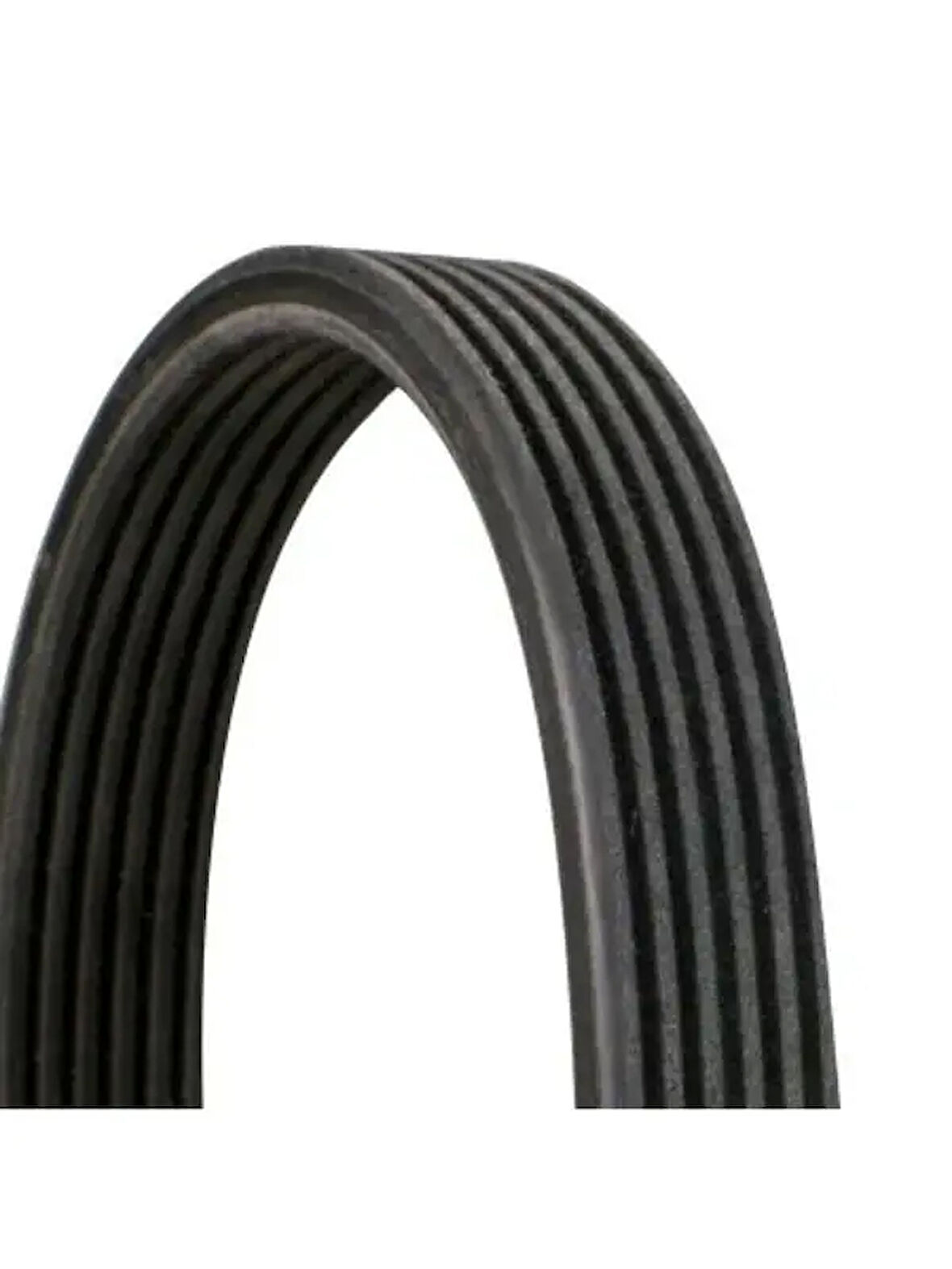 KANALLI KAYIS 6PK1215 CADDY 1.9TDI SDI 8V 04 2.0TDI 8V 07 TRANSPORTER T5 1.9TDI 0309