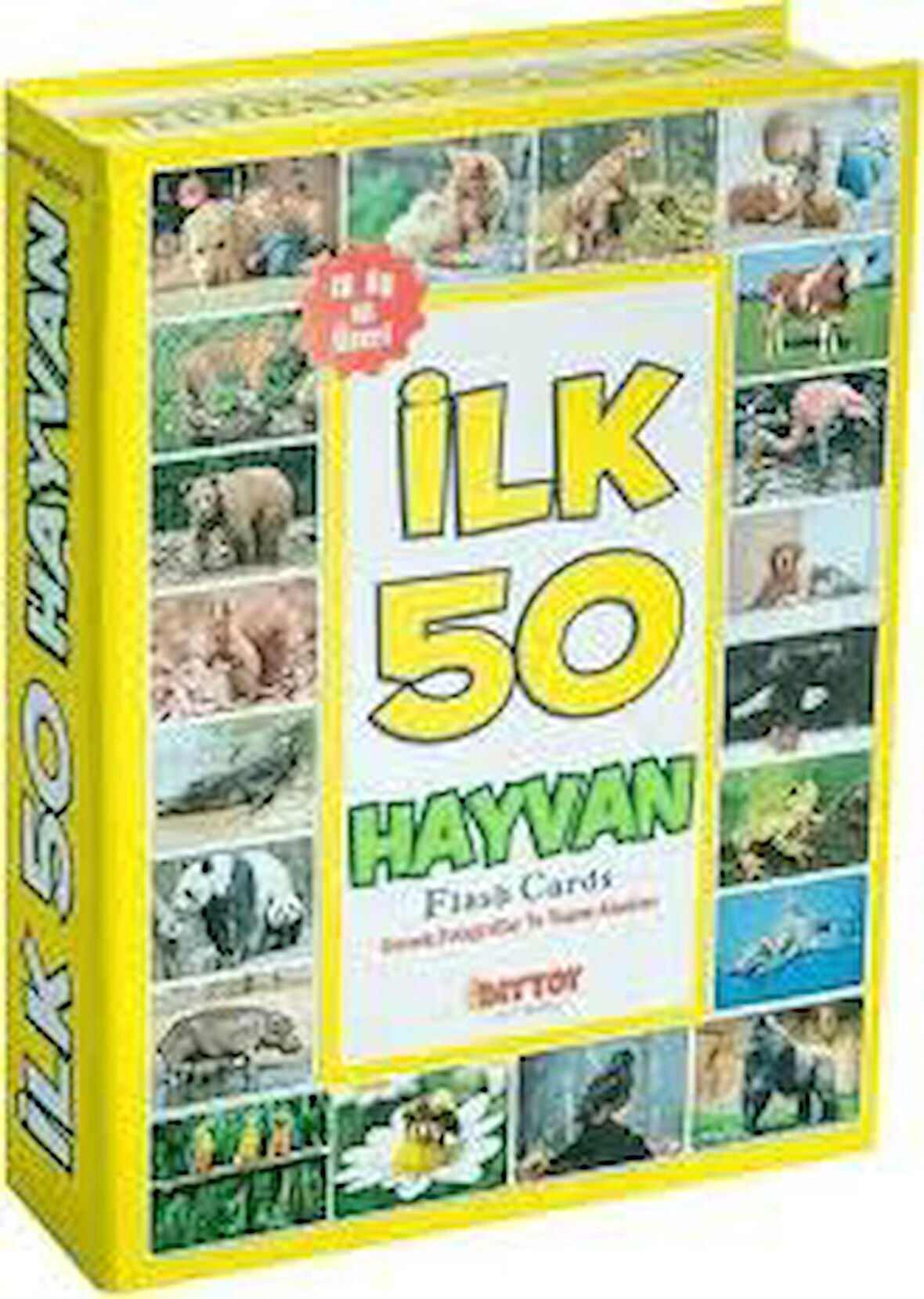 İlk 50 Hayvan Hafıza Kartları (12 Ay Üzeri)