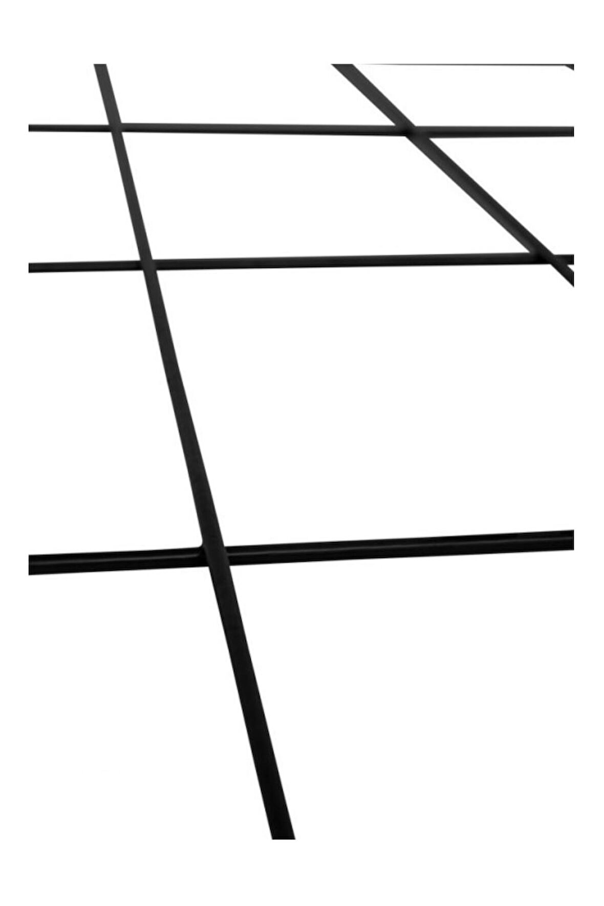 Bitki Kafesi 45*150cm Metal Plastik Kaplama