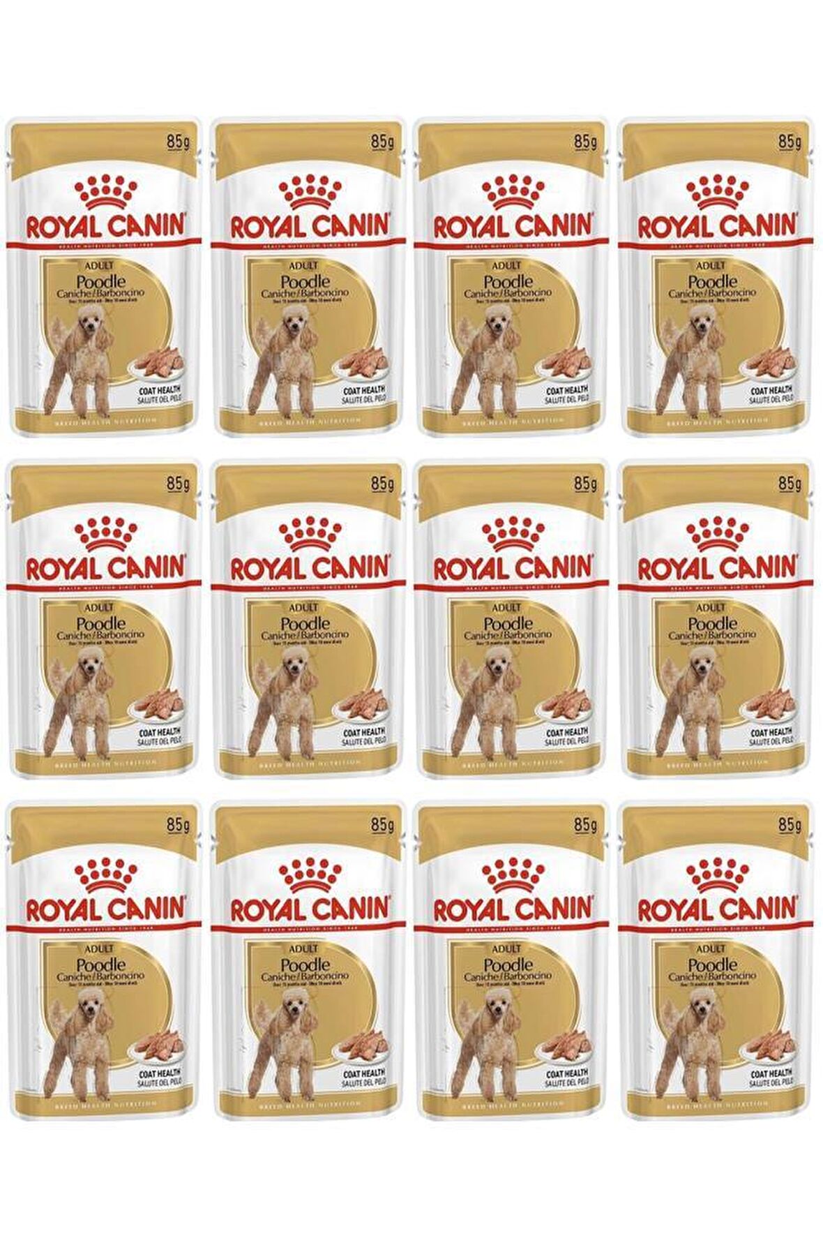 Royal Canin Kümes Hayvanlı Chihuahua Irkı Yetişkin Kuru Köpek Maması 12x85 gr