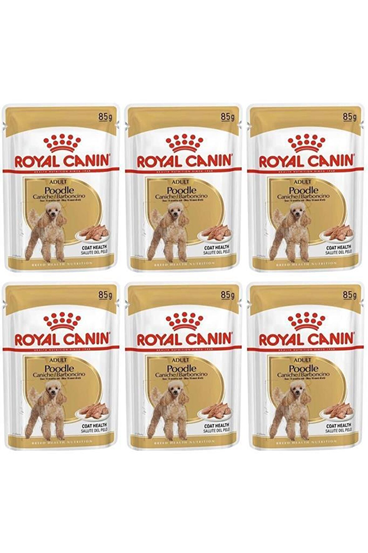 Royal Canin Mini Ageing Kümes Hayvanlı Küçük Irk Yaşlı Yaş Köpek Maması 6x85 gr