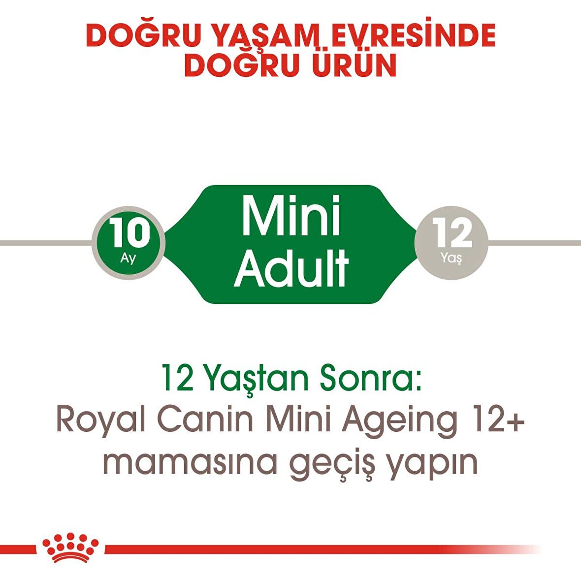 Royal Canin Mini Adult Kümes Hayvanlı Küçük Irk Yetişkin Yaş Köpek Maması 12x85 gr