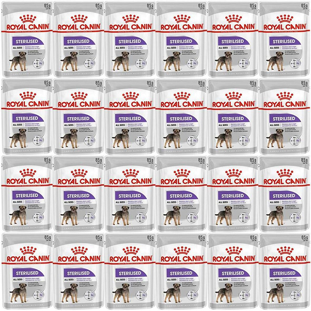 Royal Canin CCN Sterilised Pouch Köpek Yaş Maması 85gr*24 Adet