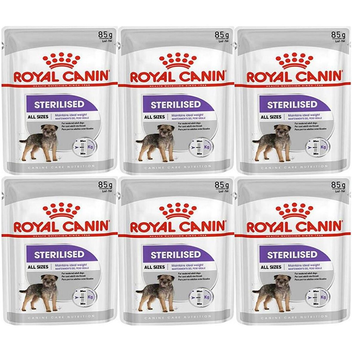Royal Canin CCN Sterilised Pouch Köpek Yaş Maması 85gr *6 Adet