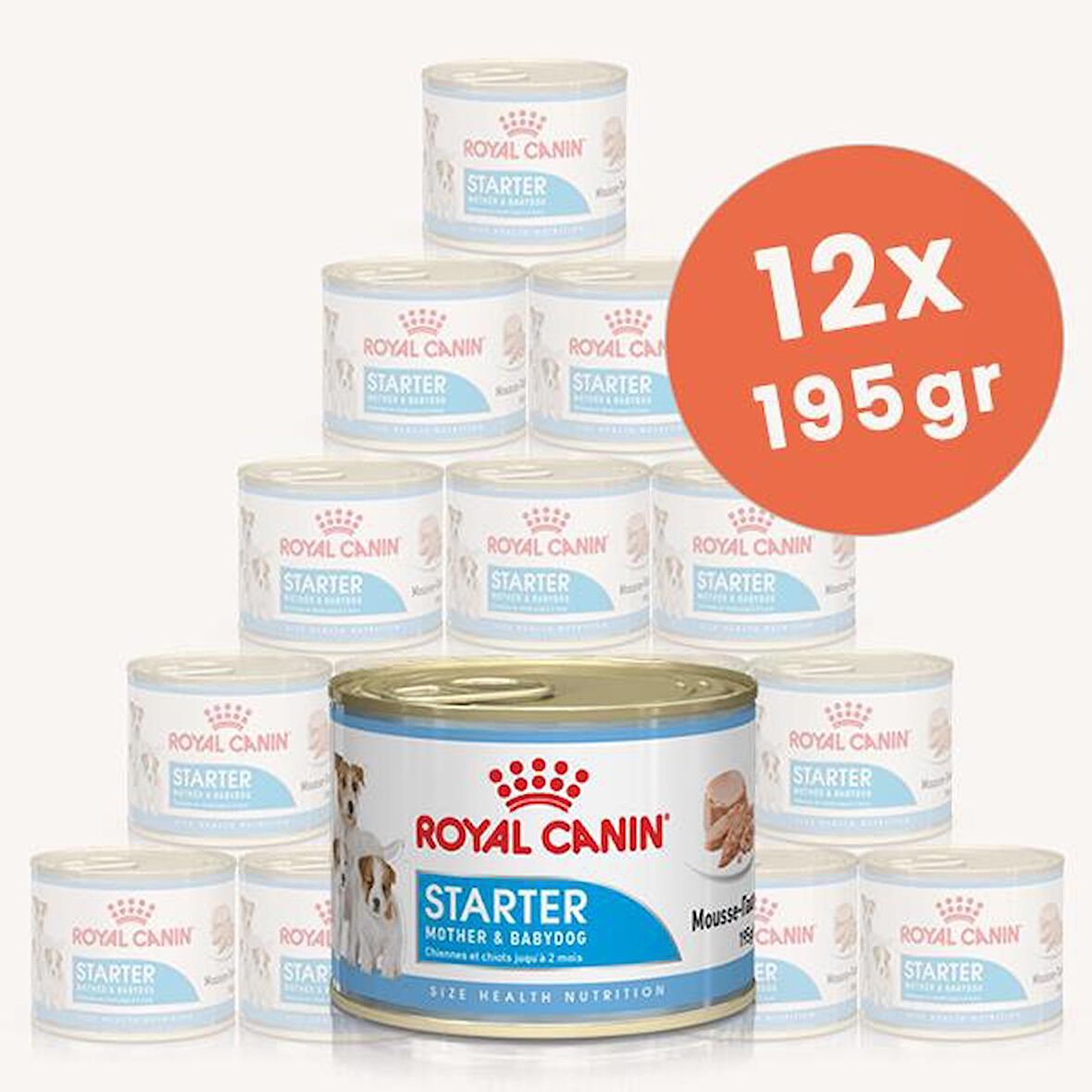 Royal Canin Starter Mousse Anne ve Yavru Köpek Konserve Yaş Maması 12 X 195 gr