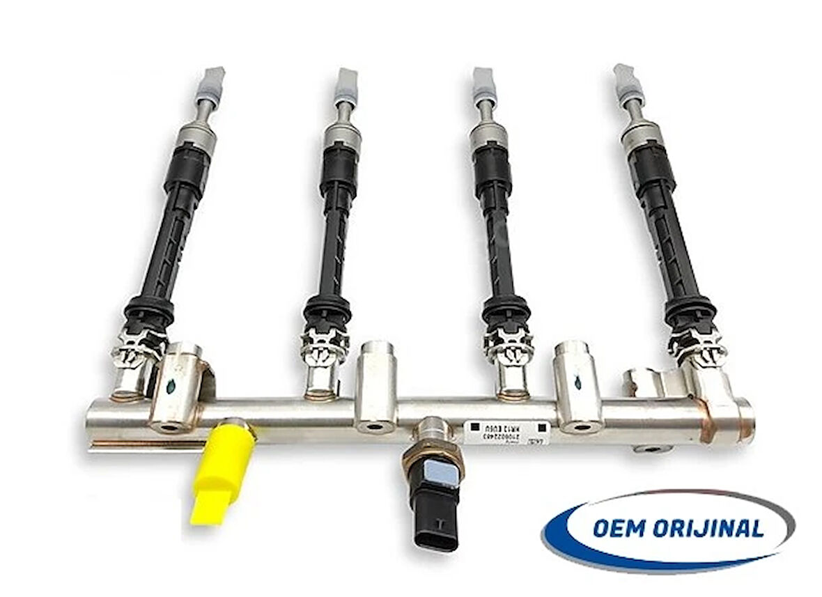 MÜŞÜR RAMPA ENJEKTÖR 4 LÜ TAKIM BU ÜRÜN ORİJİNAL RENAULT MEGANE 4 2016 TALISMAN 2016 KADJAR 2016 CLİO 5 2019 EXPRESS 2023NİSSAN QASQHAI 2 2016 MERCEDES BENZ A SERİ B SERİ GLA 1.3 TCE H5H 175201876R 175207275R 175209534R