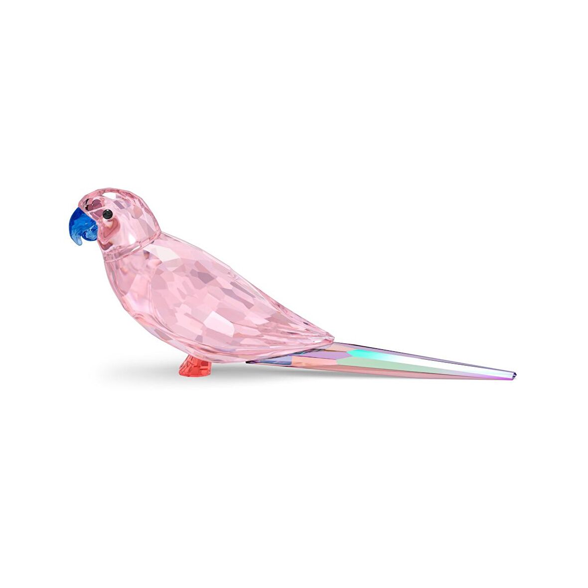 5557848 Swarovski Biblo Jungle Beats:Pınk Parakeet