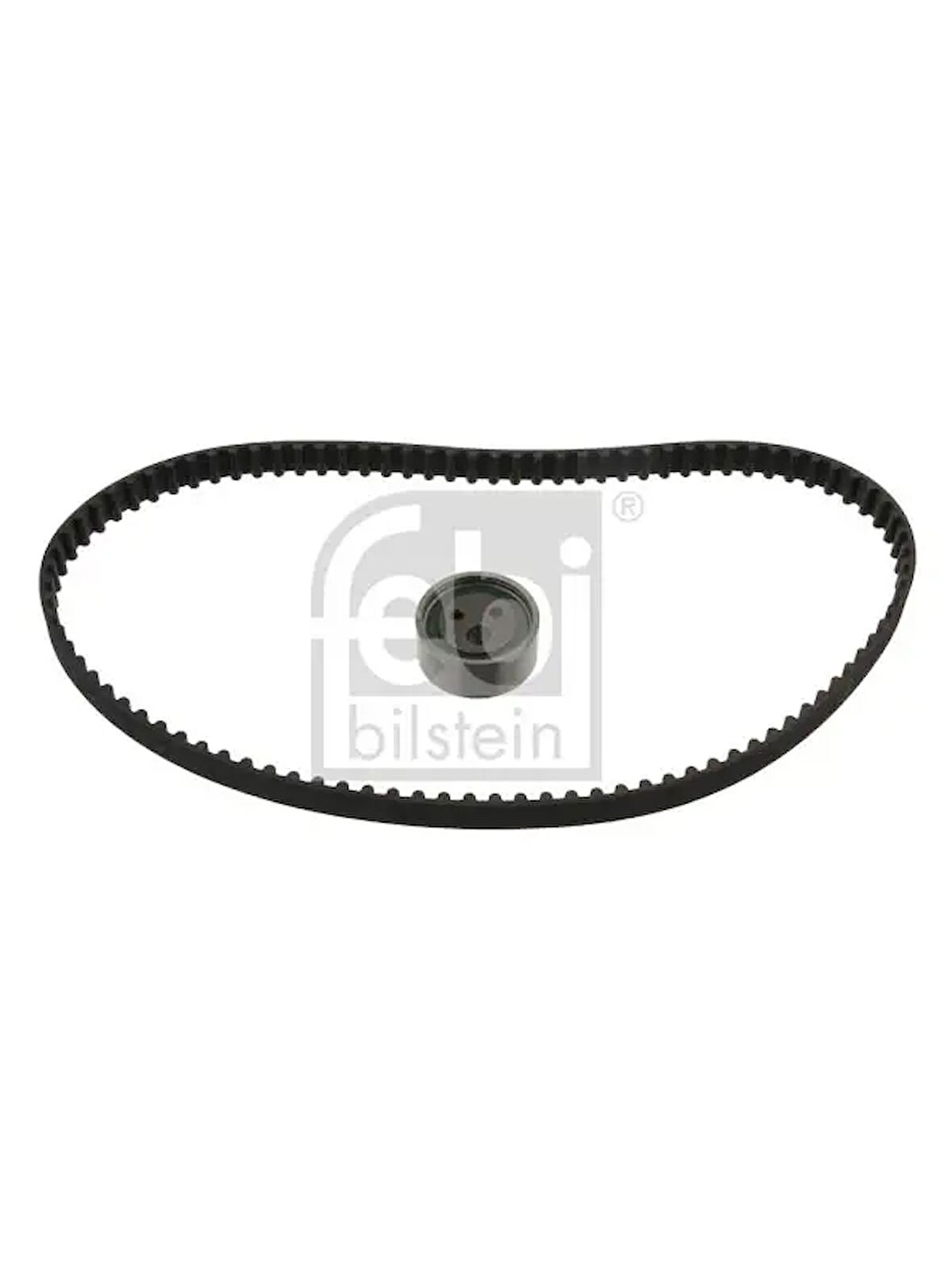 EKSANTRIK RULMAN KITI (TRIGER SETI) R19 MEGANE SCENIC CLIO EXPRESS 1,6I / 1,6 / 1,4 K7M / E7J