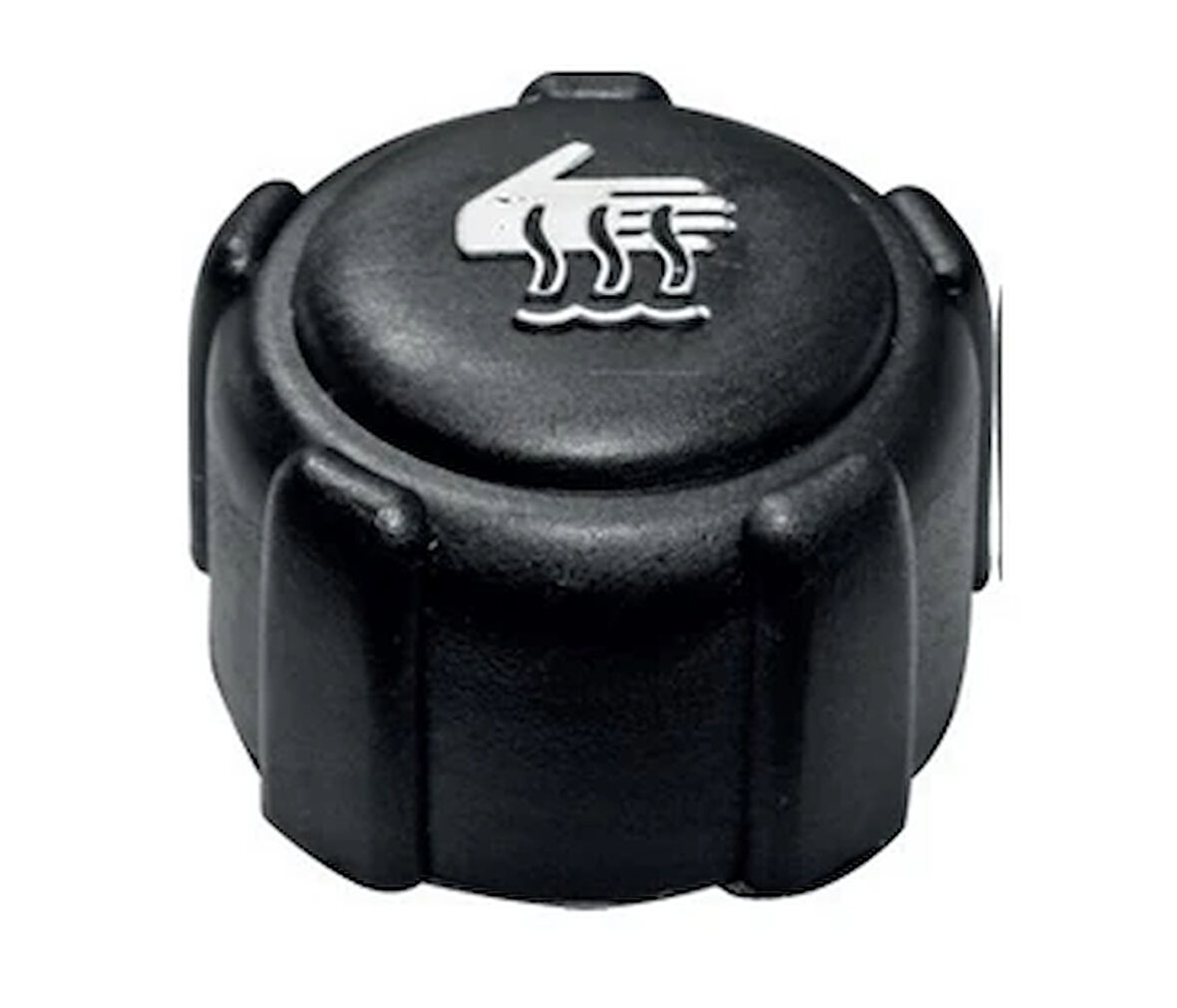 GENLEŞME KAVANOZ KAPAĞI BEYAZ YAZI CLIO-MEGANE-KANGOO 8200048224 7700805131 (5 ADET)