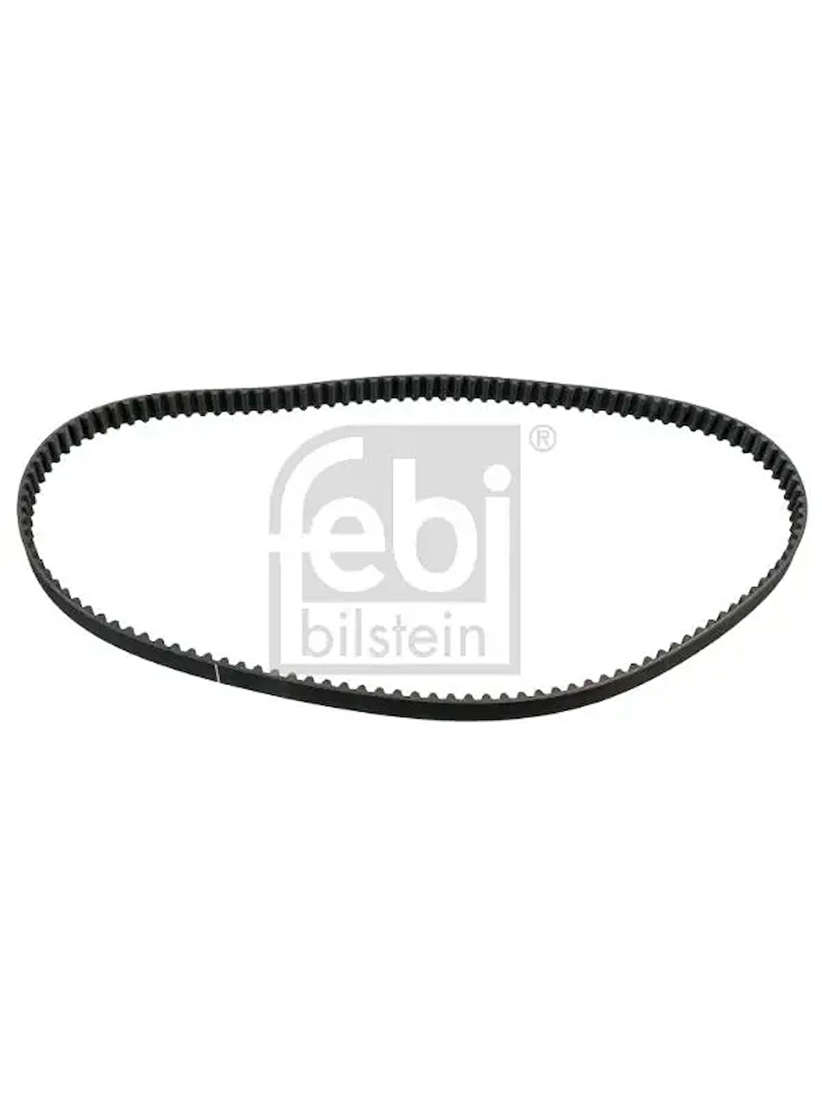 EKSANTRIK KAYISI (125SP190H) FLASH CLIO I LAGUNA I 1,8 R21 1,7
