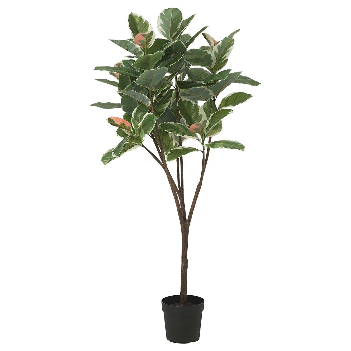 Yapay bitki, yeşil, 23 cm, kauçuk bitkisi, iç/dış mekan