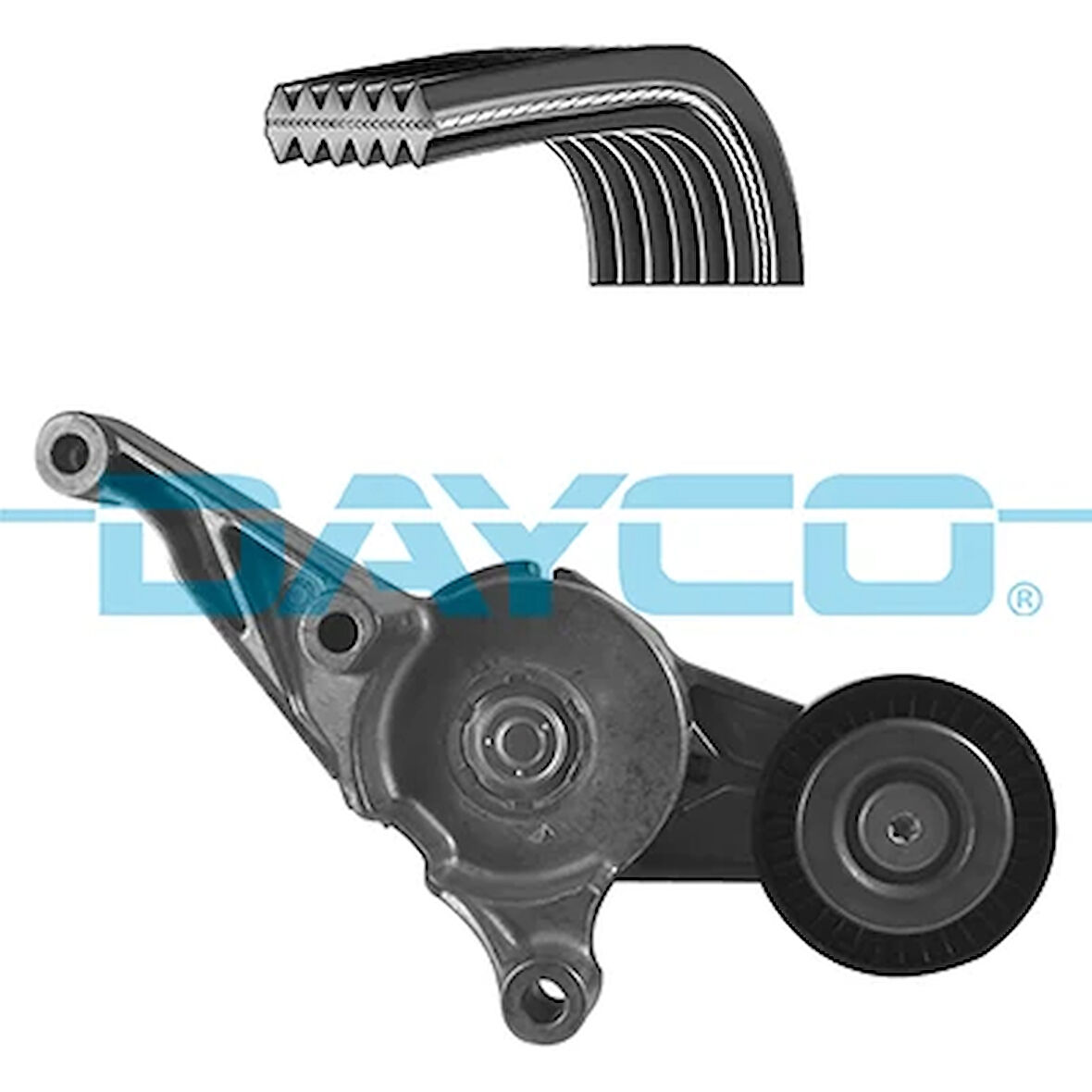 KANALLI KAYIŞ KİTİ CADDY3-T5 2003-2009 03G903315C 03G903315D