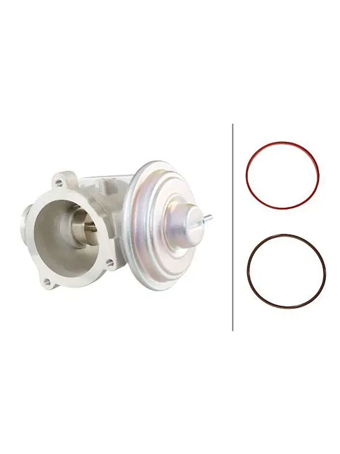 EGR VALFI BMW M47 M57 E87 E90 E92 E93 E60 E65  X3 E83  X5 E53 E70