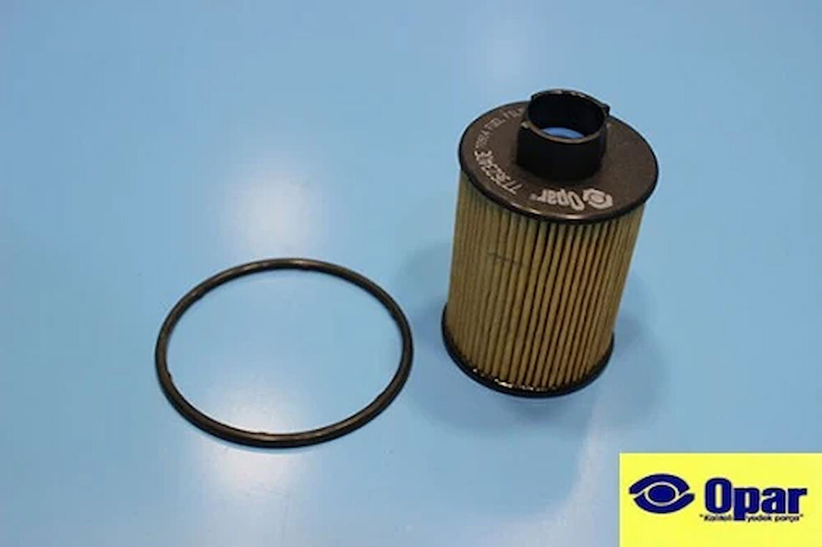 MAZOT FILTRESI ASTRA H-CORSA C-COMBO C-AGILA-VECTRA C-ZAFIRA B-MERIVA A-ANTARA-CAPTIVA-LACETTI- ALBEA-PALIO-DOBLO-PUNTO-NEMO BIPPER-JUMPER-BOXER 1.3-1.9-2.2-2.8-3.0 165 CDTI-HDI-JTD-MTJ 95599700 813569 1606267680 77362340