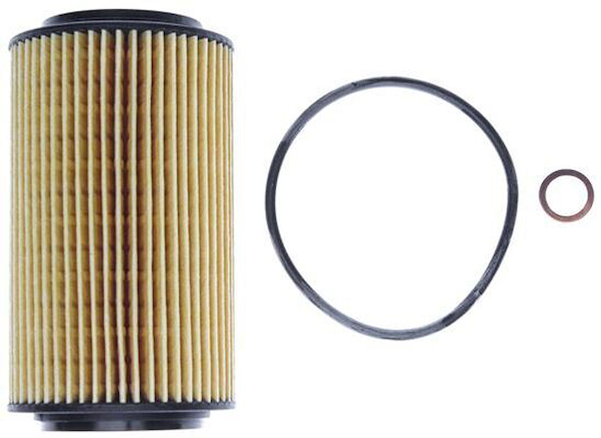 YAG FILTRESI BMW M47D20 E39 E46 . LAND ROVER FREELANDER 1 204D3 L314 TD4 11422247018 LRF100150