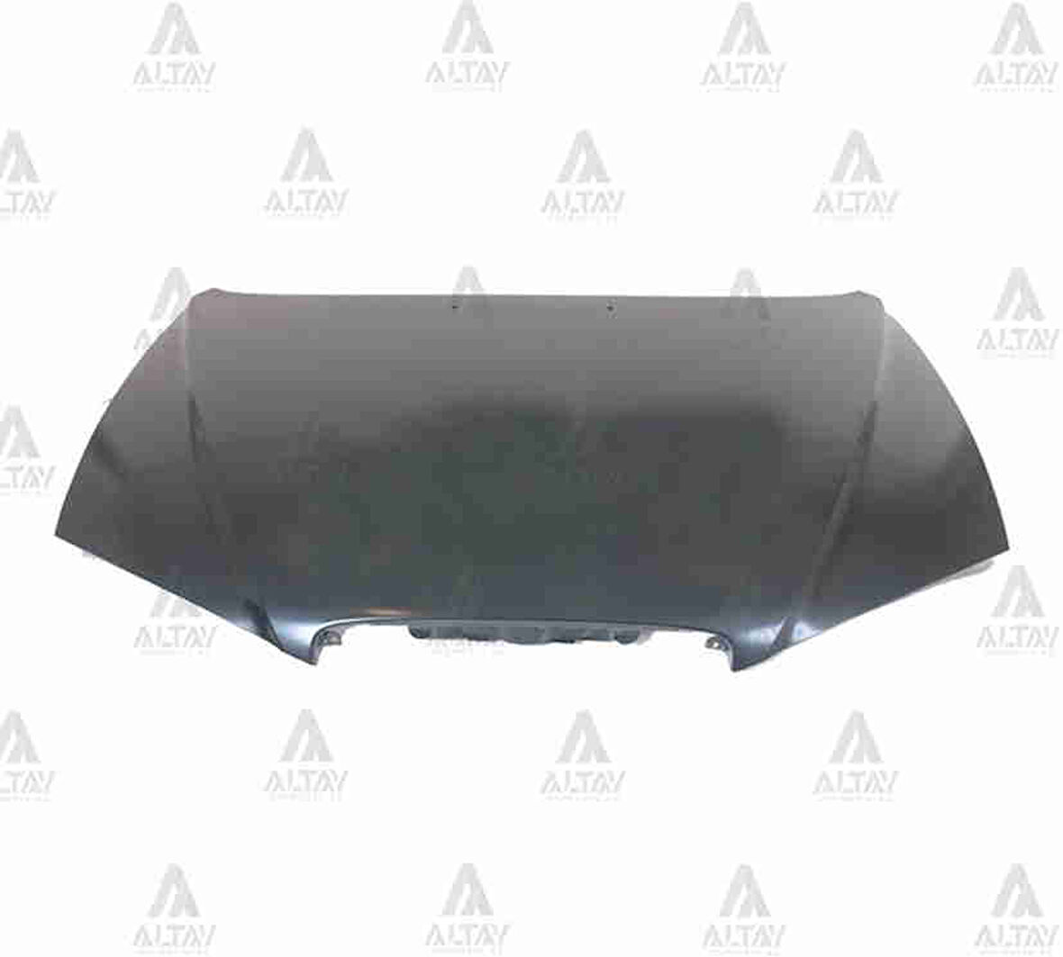 MOTOR KAPUTU ELANTRA 2001 66400 2D020