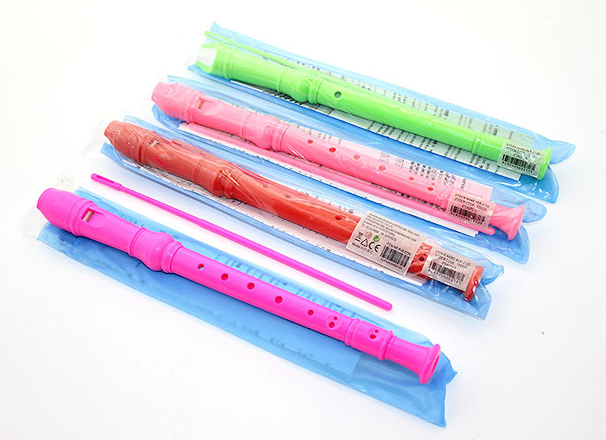 Renkli Plastik Flüt 