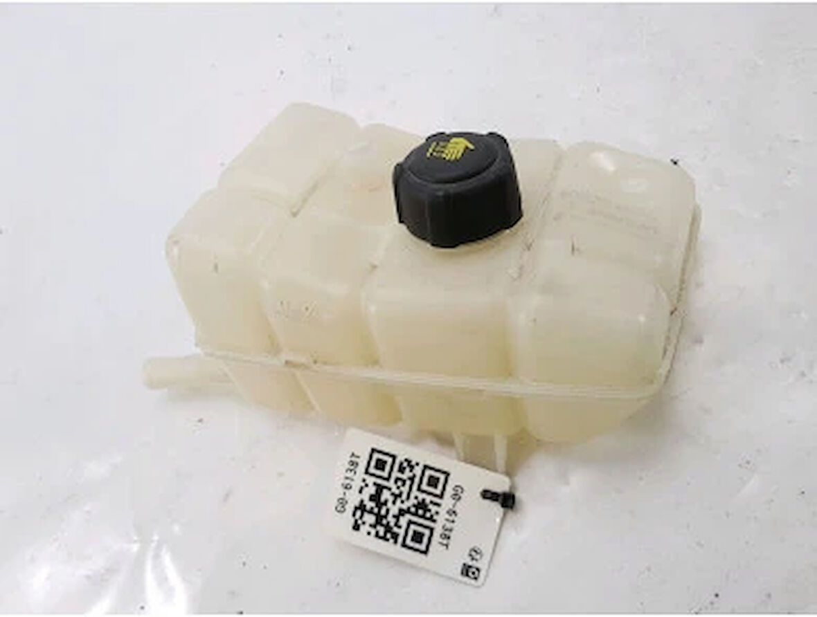 GENLESME KAVANOZU YENI KANGOO MEGANE 4 217108467R