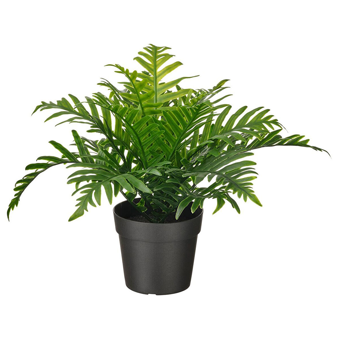 Yapay bitki, yeşil, 9 cm, polypodıum