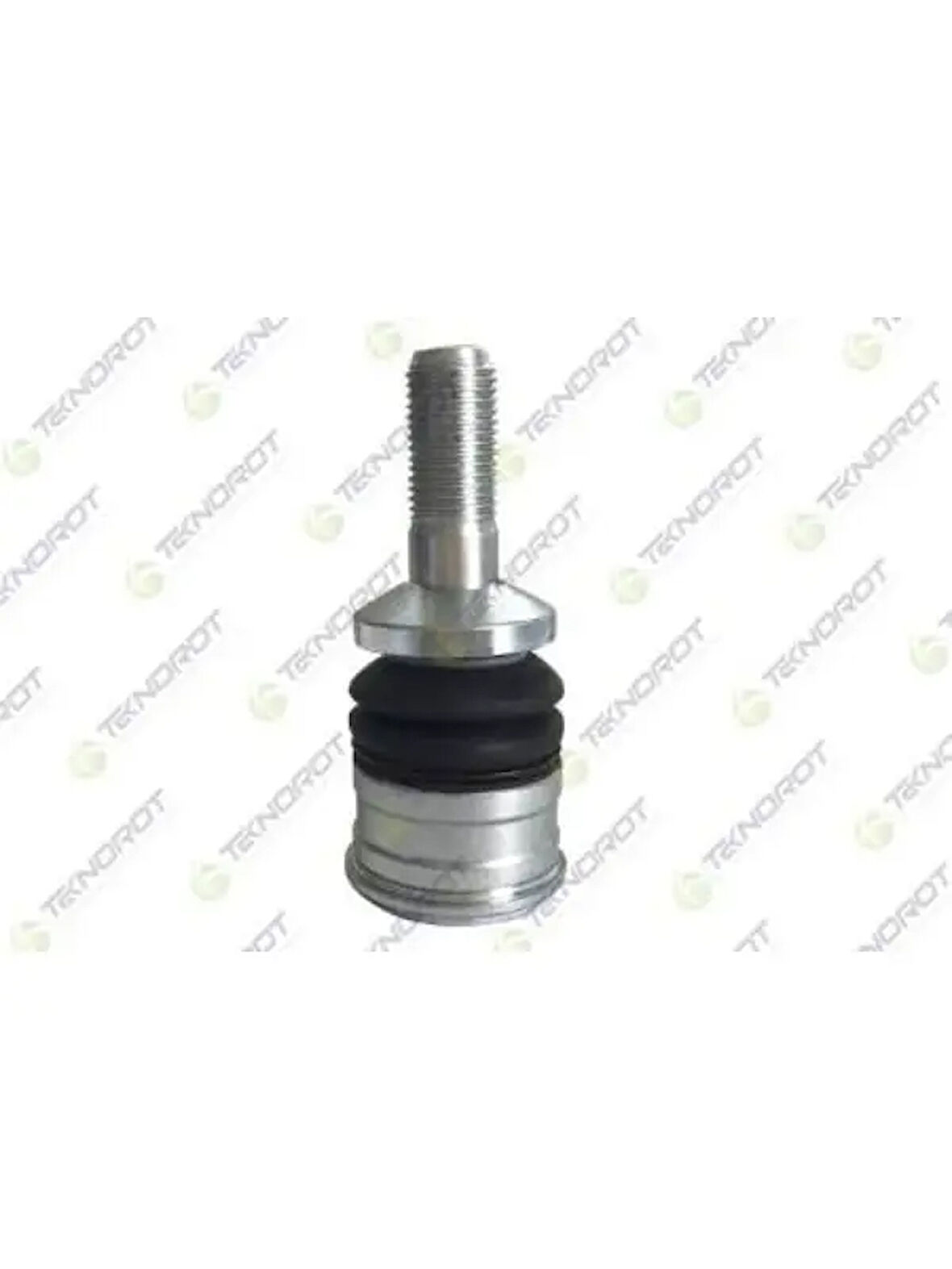 ROTIL YAN ALT W205 14 C205 18 S205 14 W213 16 S213 16 A238 17 C238 16