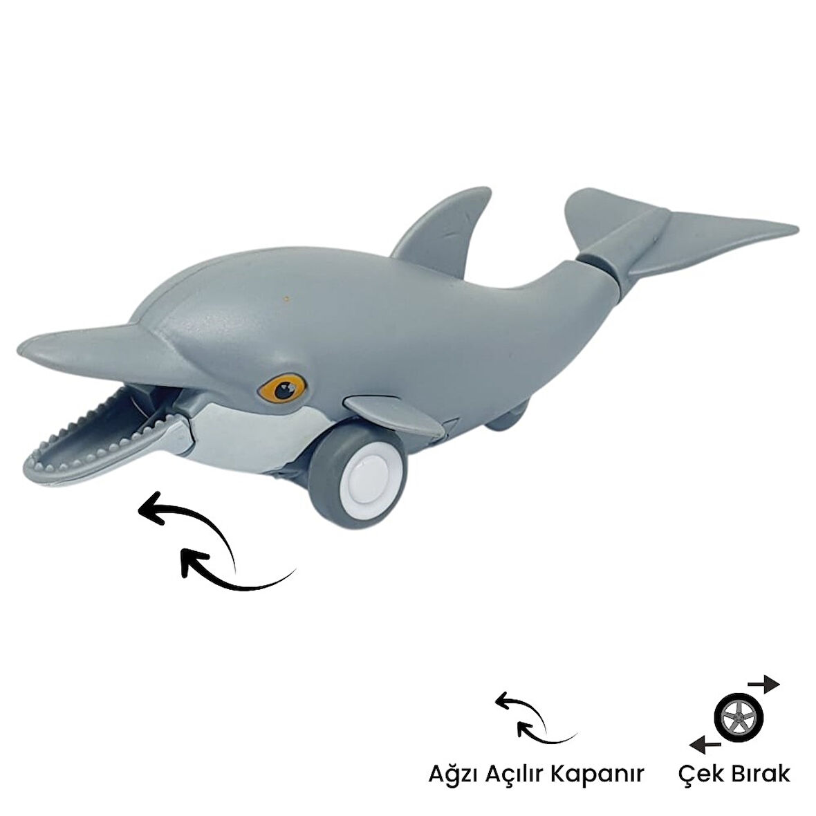 Sürtmeli Hayvanlar Serisi - H-53 - Yunus Balığı