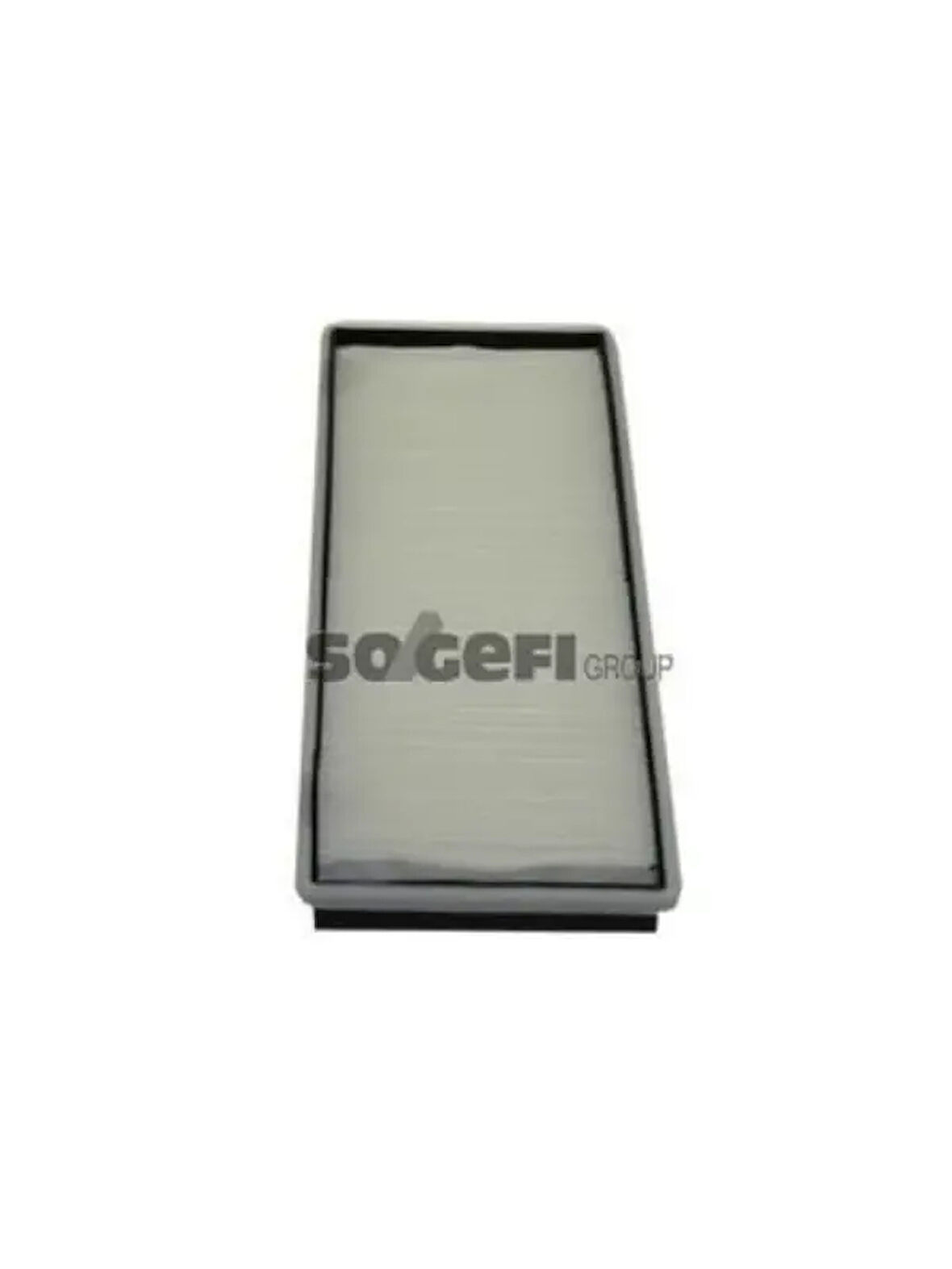 POLEN FILTRESI ESPACE IV 02