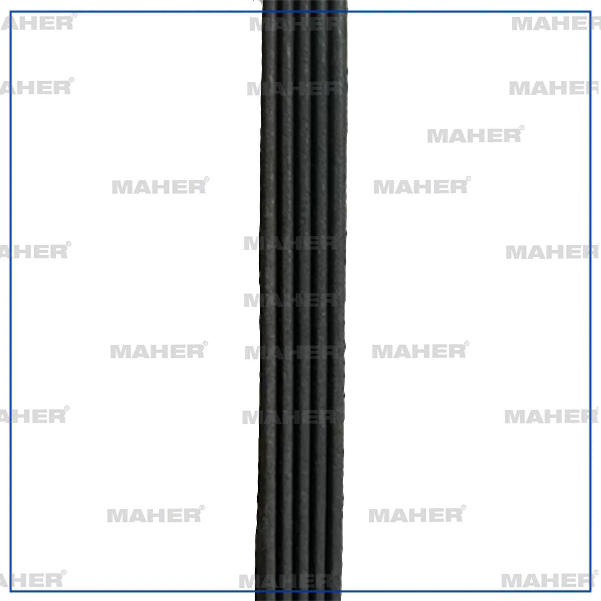 KANALLI KAYIŞ FIAT / BRAVO 1.2 165 10.2000-2010.01 VOLKSWAGEN / PASSAT 1.9TDI AUDI A4 A6 1.9TDI 5PK1588