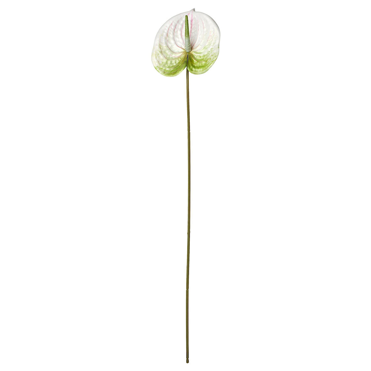 Yapay çiçek, beyaz, 66 cm, anthurium, iç-dış mekan