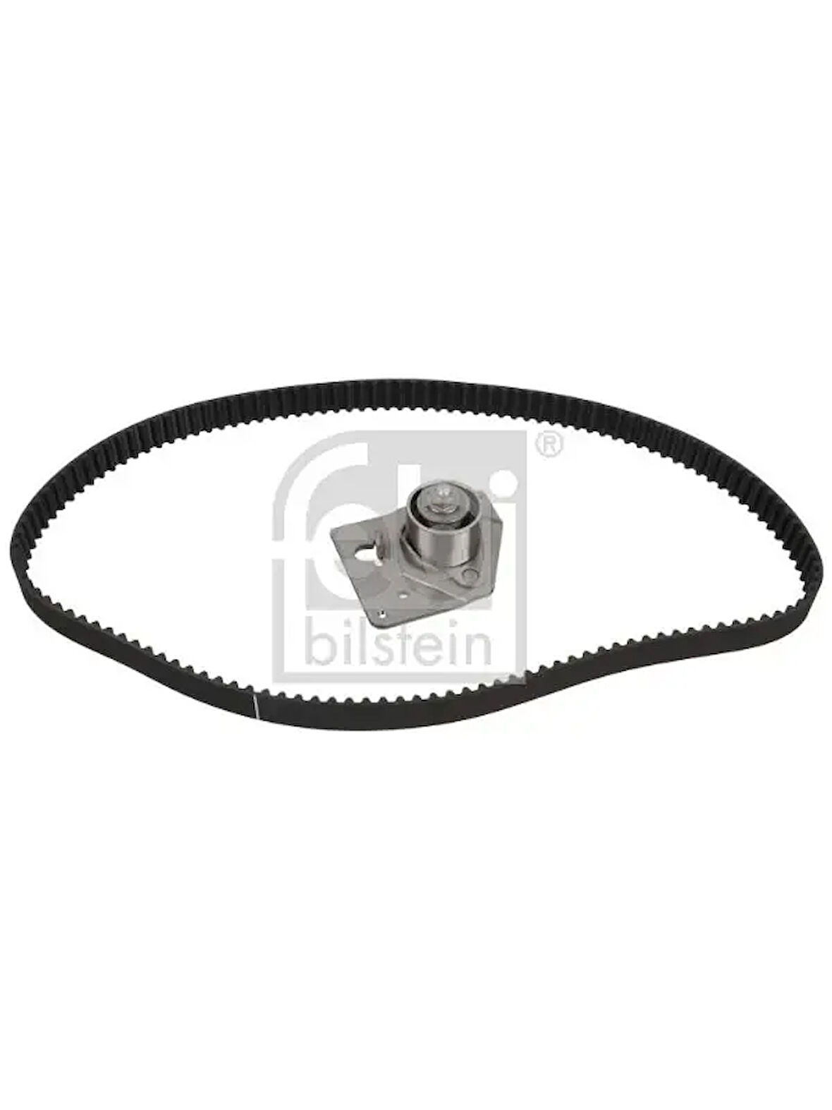EKSANTRIK RULMAN KITI (TRIGER SETI) TRAFIC ESPACE LAGUNA II 1,9D F9Q