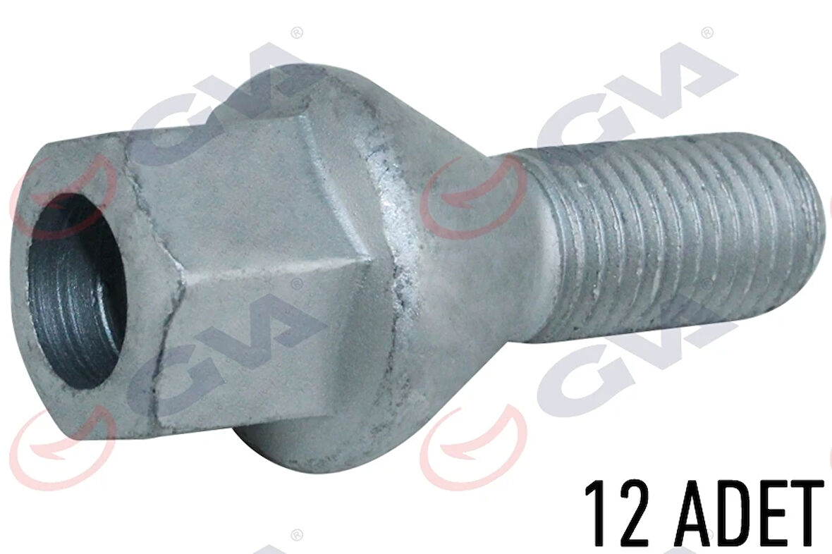 BİJON CİVATASI DACIA DUSTER-LOGAN PAKET 12 7703003008 (12 ADET)