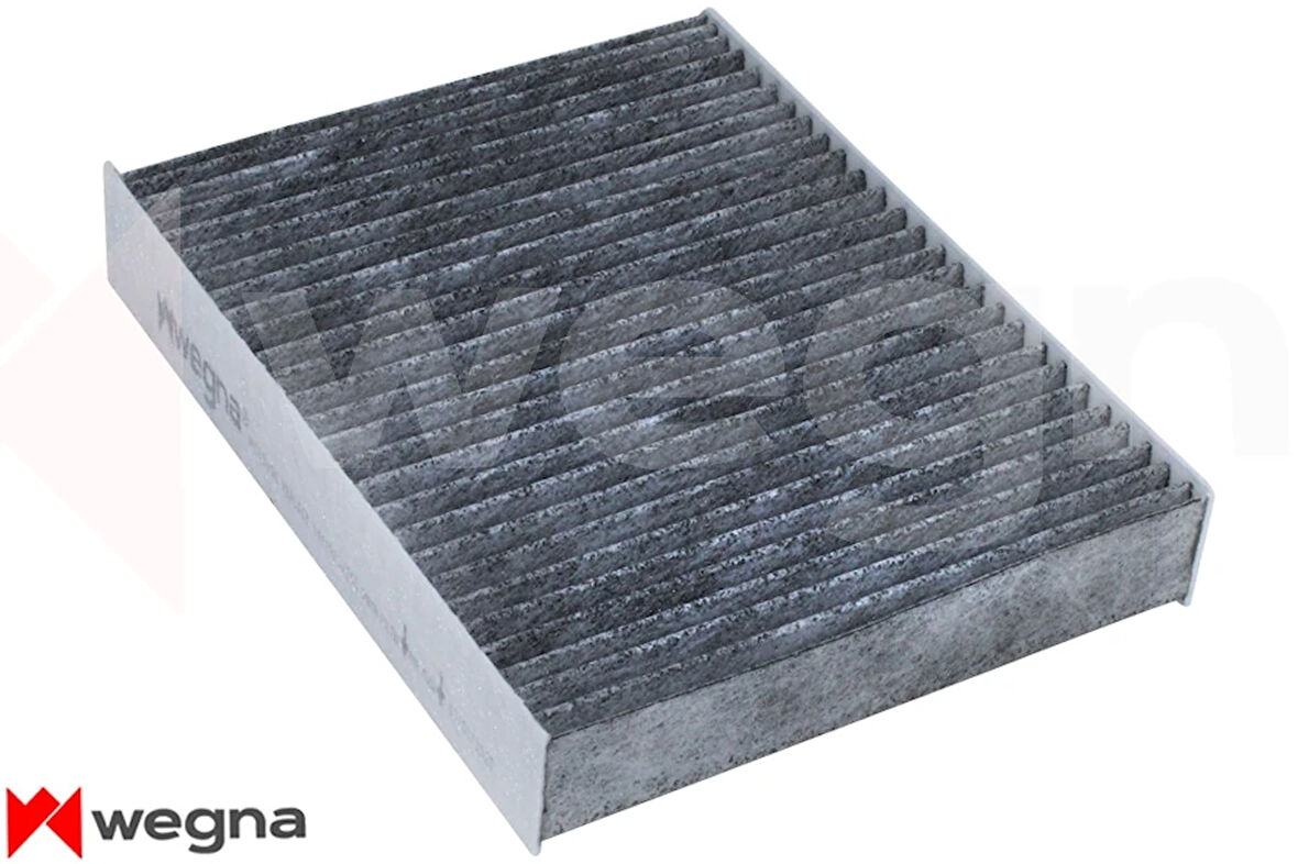 POLEN FILTRESI BMW F20 F30 F22 F32 F33 F34 F36 KARBONLU 64119237555