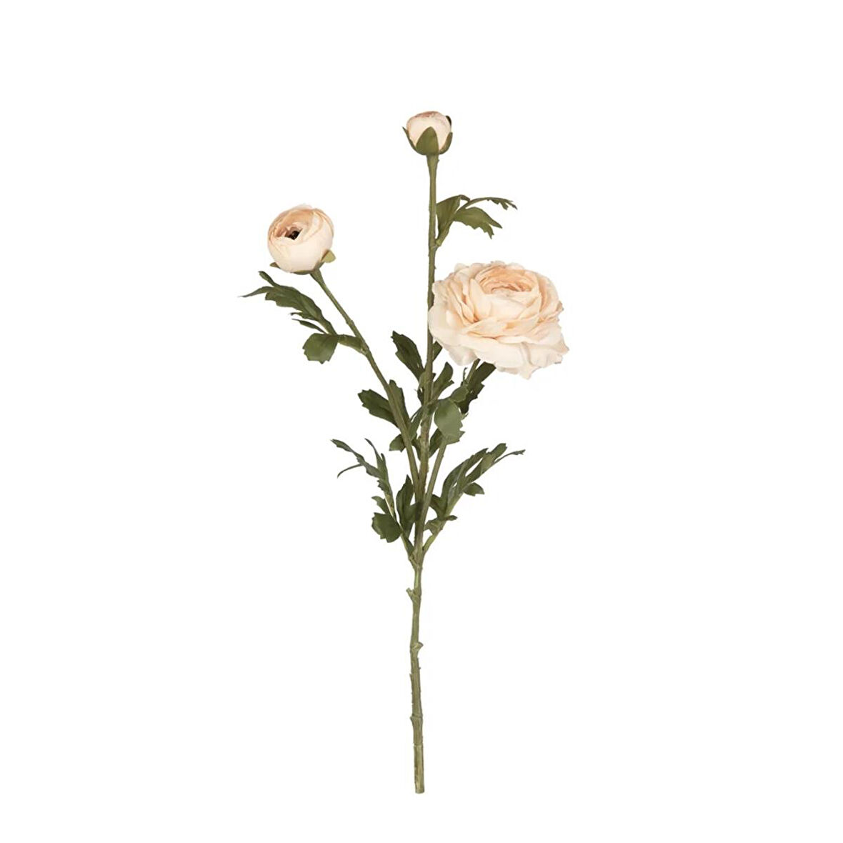 Kuk Çiçek Ranunculus Dal 72 Cm. (Blush Pink)