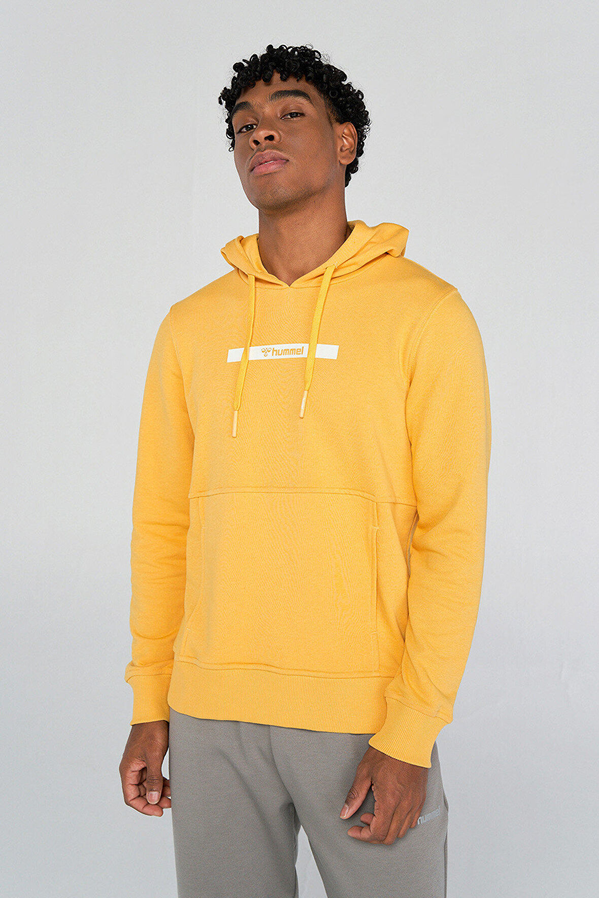 Hummel Frank Hoodie 921601-2226