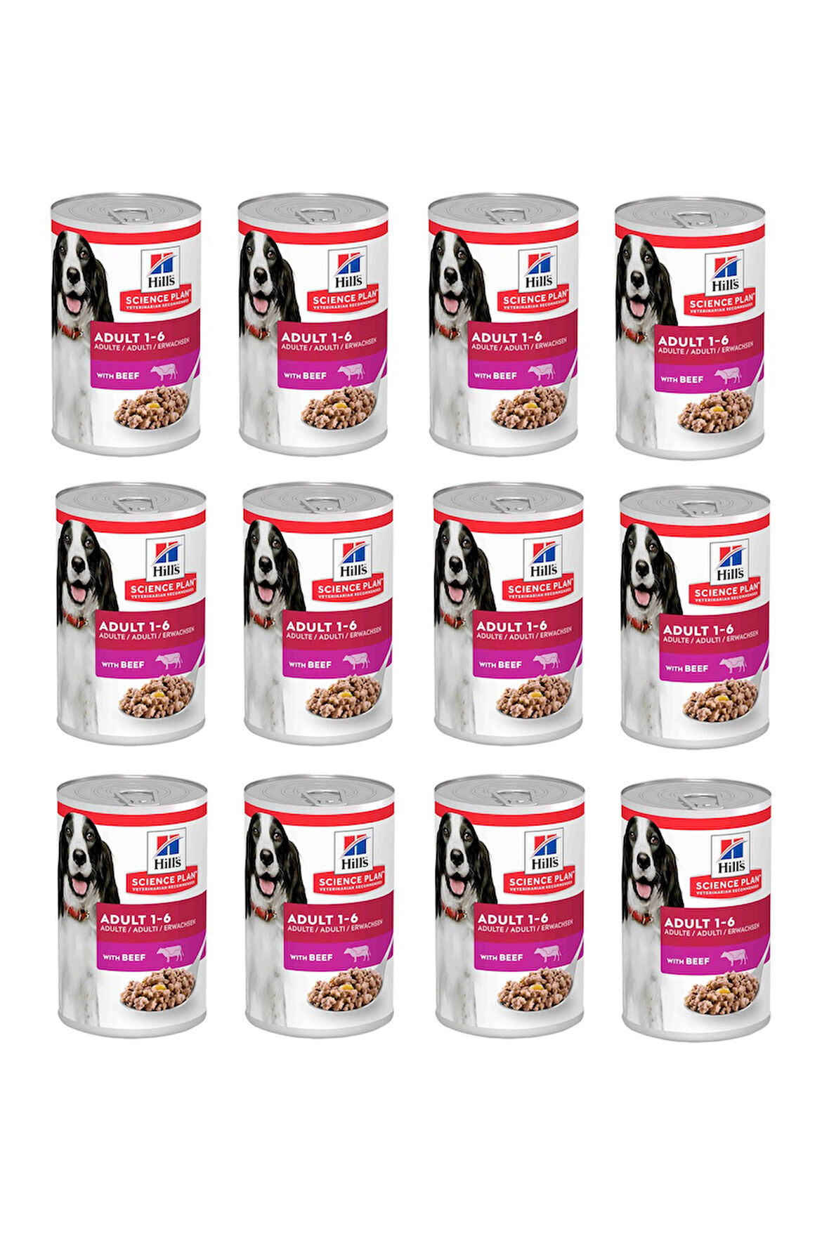 Hill's Science Plan Biftekli Yetişkin Köpek Konserve Maması 370 Gr. X 12 Adet